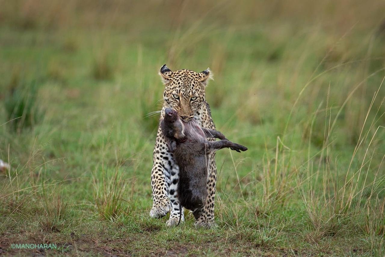 Romantic Bali Getaway